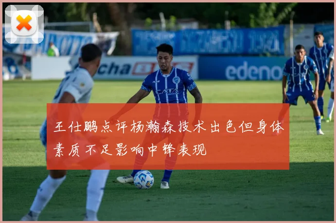 王仕鹏点评杨瀚森技术出色但身体素质不足影响中锋表现