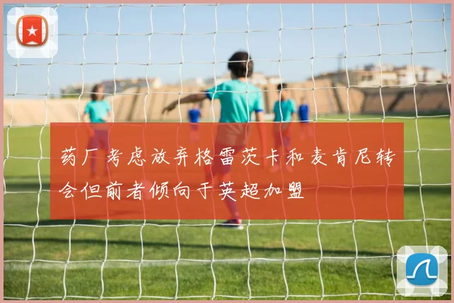 药厂考虑放弃格雷茨卡和麦肯尼转会但前者倾向于英超加盟