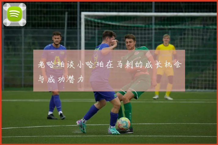 老哈珀谈小哈珀在马刺的成长机会与成功潜力