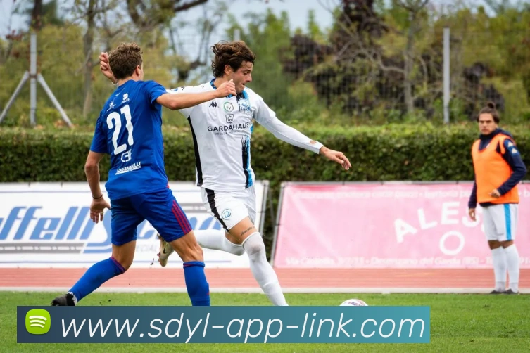 神殿娱乐app平台生态图