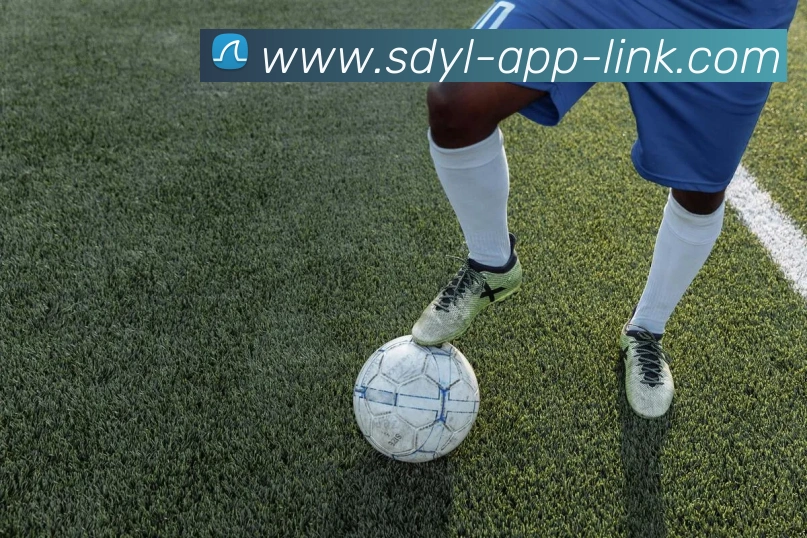 神殿娱乐app全站App